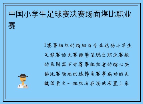 中国小学生足球赛决赛场面堪比职业赛